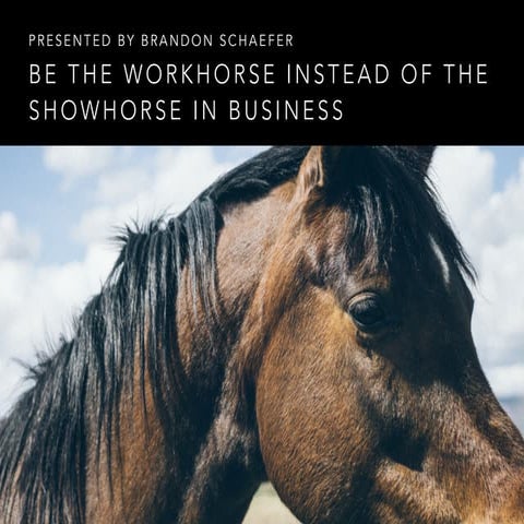 Be the Workhorse Instead of the Showhorse in Business