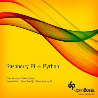 Raspberry Pi + Python