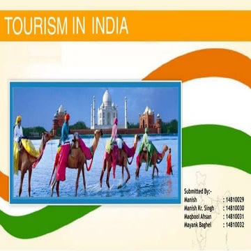 Indian Tourism Industry