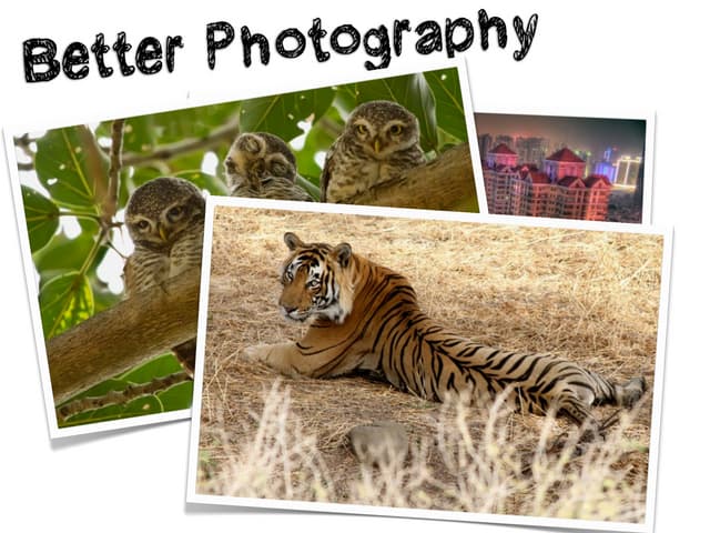 Better Photography for your Elearning Courses