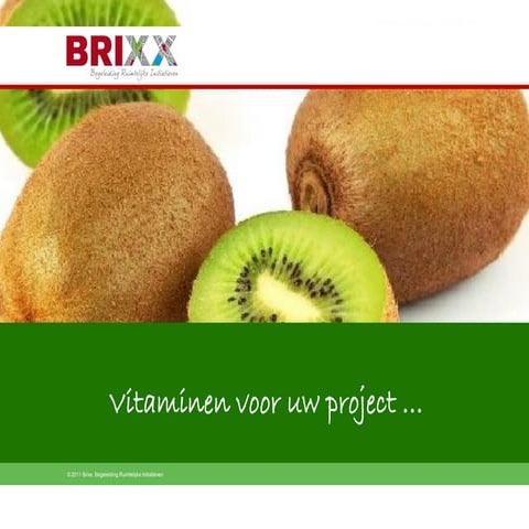 Presentatie Brixx