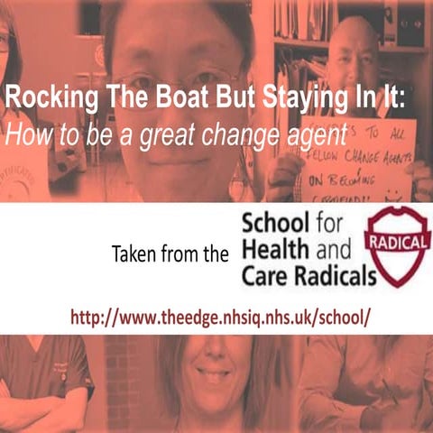 Rocking the boat but staying in it: How to be a great change agent
