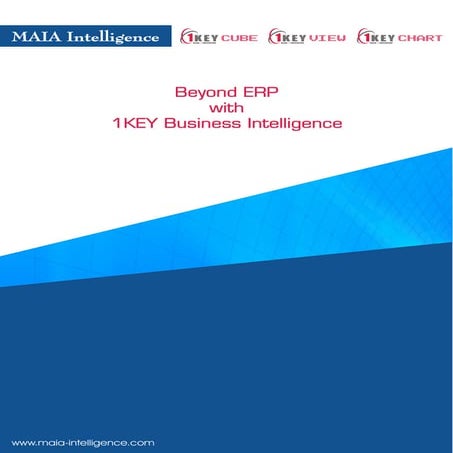 Beyond  E R P With 1 K E Y  B I