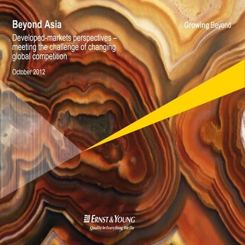 Beyond Asia - developed-markets perspectives – meeting the challenge of chang...