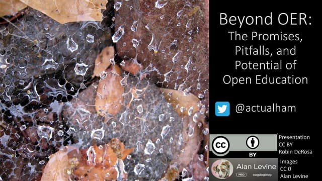 Beyond OER: Robin DeRosa's Presentations for #RDRinYVR
