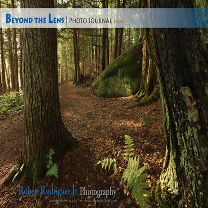 Beyond the Lens Photo Journal - Vol II