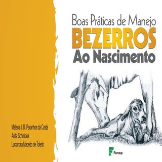 Manual de nascimento de bezerros