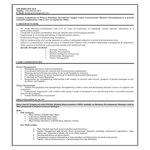 Consultant Profile - Vikram Kamath | PDF