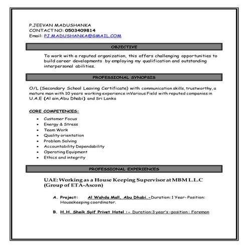 sami cv | DOCX