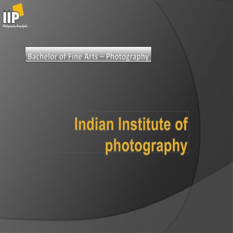 BFA in photography by IIP EDU | PPTX