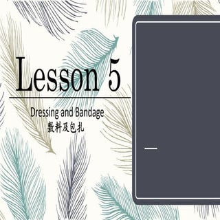 2017年初级组课程资料 Lesson 5