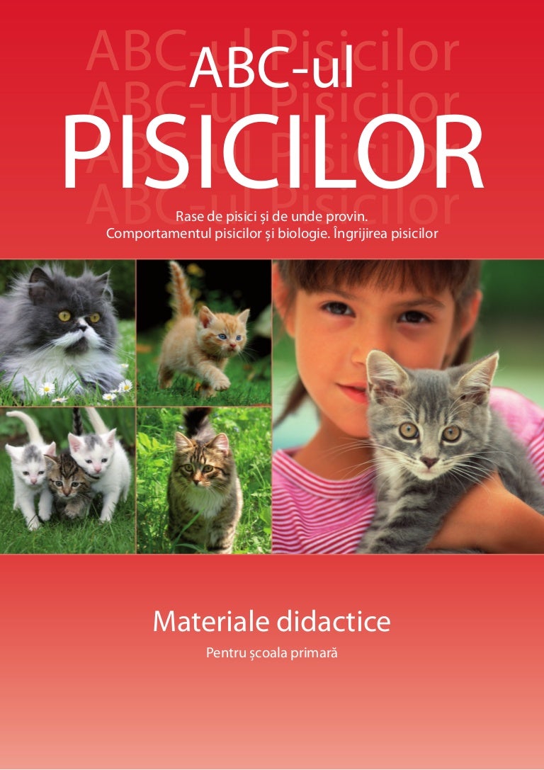 Fascinating Cats