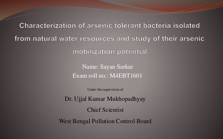 Phd thesis ppt presentation sample picture