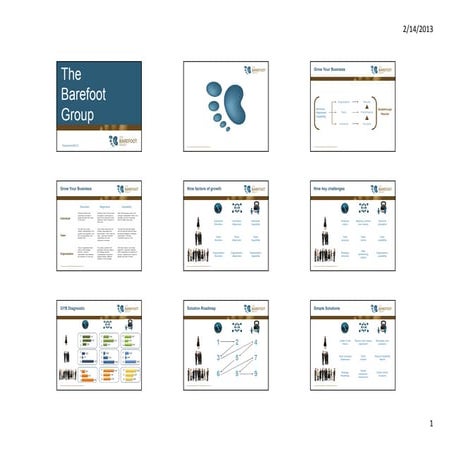 Bfg overview 121207_mh