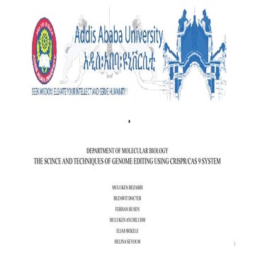 BFM (7).pptx great documents to reach ideas