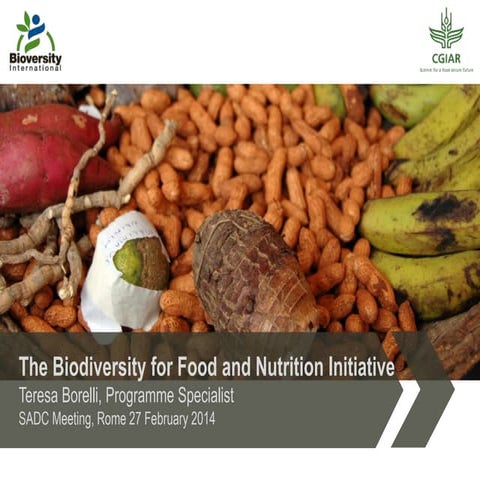 Presentation of BFN activities to SADC countries - Feb 2015