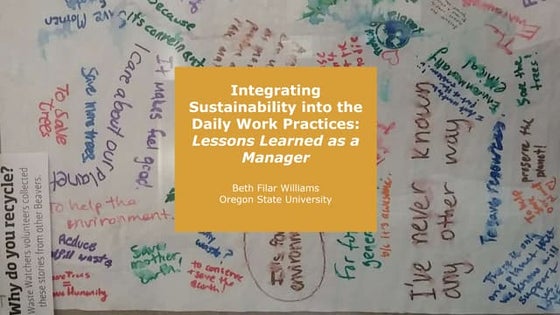 Integrating Sustainability into the Daily Work Practices: Lessons Learned as ...