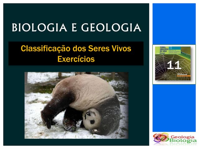 Bg 11   sistema de classificação  -...