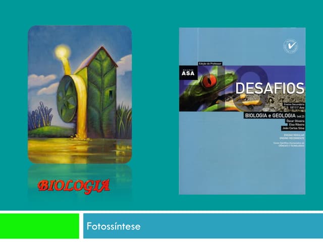 Bg14   obtenção de matéria - fotoss...