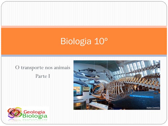 Bg17   transporte nos animais