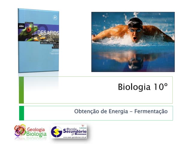 Bg21   transformação e utilização d...