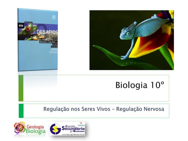 Bg25   regulação nos seres vivos