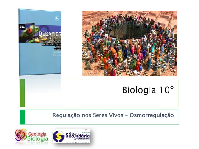 Bg28   regulação nos seres vivos - ...