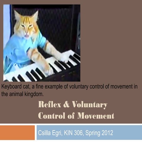 Reflex and Voluntary Control of Movement