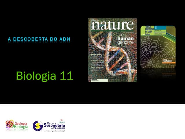 Bg 4   como foi descoberto o dna