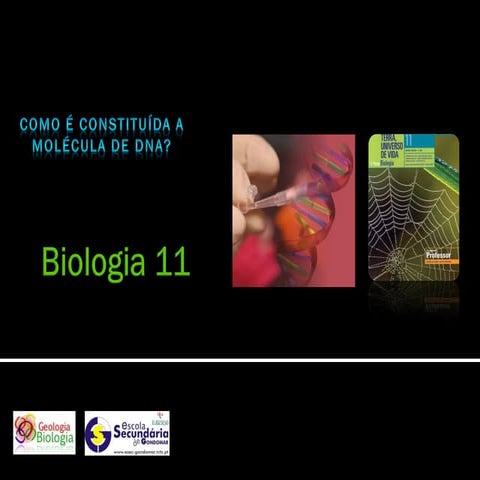 Bg 5   como é constituída a molécula de dna