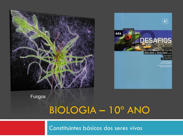 Bg5   principais constituintes da vida