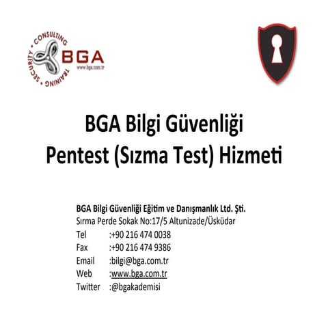 BGA Pentest Hizmeti