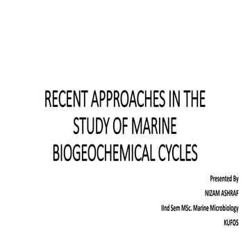 MARINE BIOGEOCHEMICAL CYCLING
