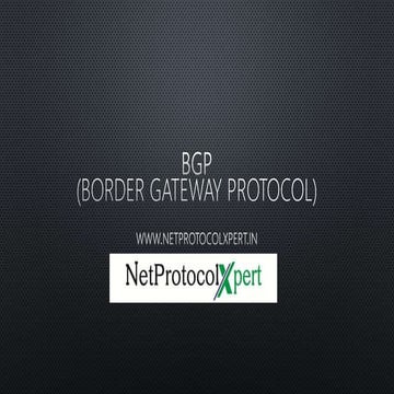 BGP (Border Gateway Protocol)