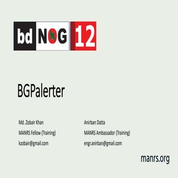 BGPalerter: BGP prefix monitoring