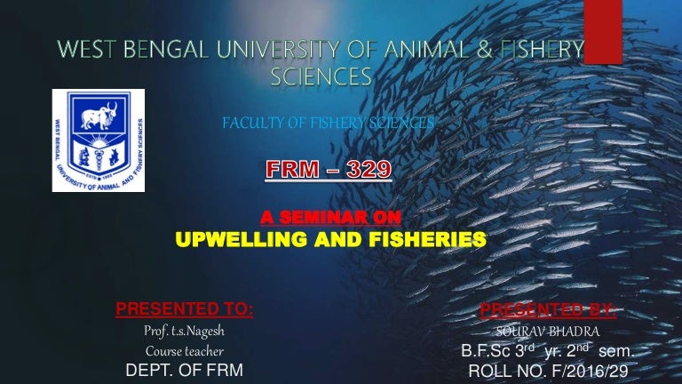 Upwelling And It S Effect On Fisheries