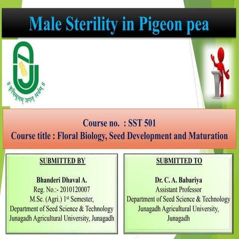 Male Sterility in Pigeon pea