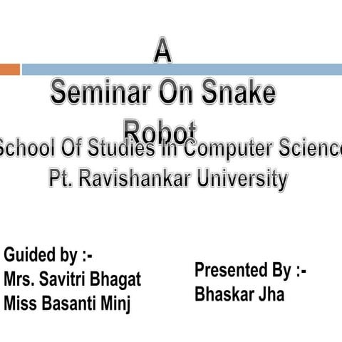 Snake Robot