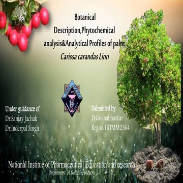 carissa carandas plant  botanical profile, analytical profile, isolation prof...