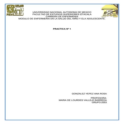 Practica en enfermeria 