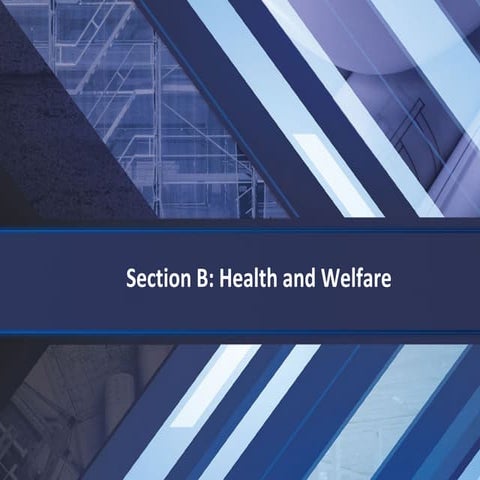 B health  welfare (1)