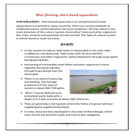 Bheri farming: shore based aquaculture