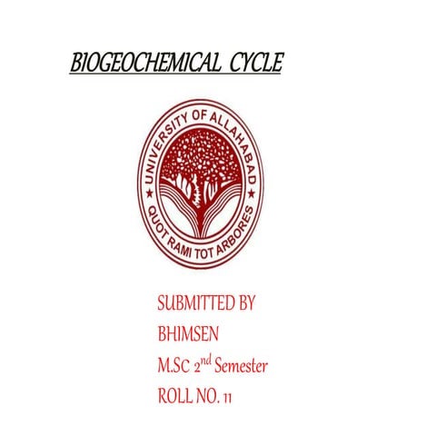biogeochemical cycle