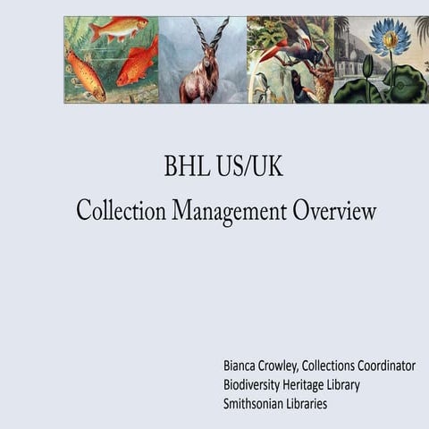 BHL Collections Management
