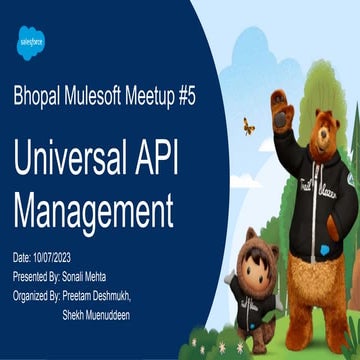 Bhopal Mulesoft Meetup 5 -Universal-API-Management
