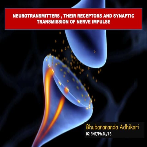 Insect Neurotransmitters and Receptors by B. Adhikari