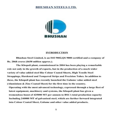 Bhushan steel limited | DOC