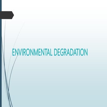  causes and effects of environmental degradation