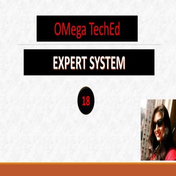 Expert System