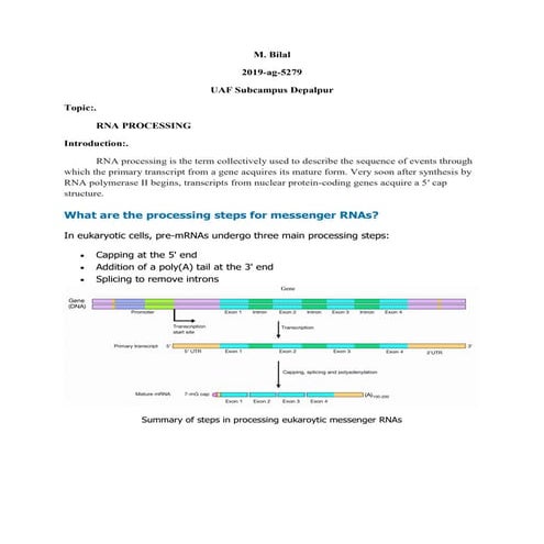 RNA Processing